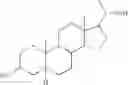 Fig. 05 - Compounds capable of binding to proteins constituting or associated with cytoskeletal elements, and their applications for the manufacture of medicaments
