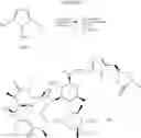 Fig. 112 - Bifunctional heterocyclic compounds and methods of making and using same