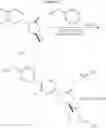 Fig. 262 - Bifunctional heterocyclic compounds and methods of making and using same