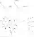 Fig. 282 - Bifunctional heterocyclic compounds and methods of making and using same