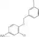 Fig. 23 - Di-substituted pyrrolotriazine compounds