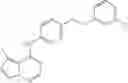 Fig. 34 - Di-substituted pyrrolotriazine compounds