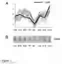 Fig. 02 - Methods for treating pain