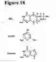 Fig. 19 - Methods for treating pain