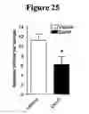 Fig. 27 - Methods for treating pain