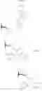 Fig. 12 - Anticholinergics which may be used as medicaments as well as processes for preparing them