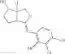 Fig. 23 - Bicyclic modulators of androgen receptor function