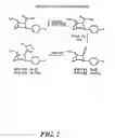Fig. 03 - Cocaine receptor binding ligands