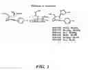 Fig. 04 - Cocaine receptor binding ligands