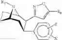 Fig. 06 - Cocaine receptor binding ligands