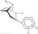Fig. 11 - Cocaine receptor binding ligands