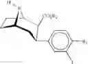 Fig. 129 - Cocaine receptor binding ligands