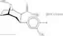 Fig. 19 - Cocaine receptor binding ligands