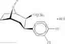 Fig. 26 - Cocaine receptor binding ligands