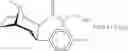 Fig. 37 - Cocaine receptor binding ligands