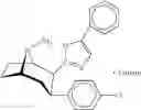 Fig. 44 - Cocaine receptor binding ligands