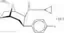 Fig. 46 - Cocaine receptor binding ligands