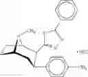 Fig. 49 - Cocaine receptor binding ligands