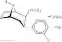 Fig. 66 - Cocaine receptor binding ligands