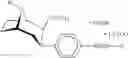 Fig. 75 - Cocaine receptor binding ligands