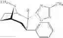 Fig. 87 - Cocaine receptor binding ligands