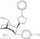 Fig. 94 - Cocaine receptor binding ligands