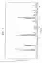 Fig. 08 - Crystal of amino acid ester salt and process for producing the same
