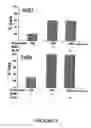 Fig. 04 - Method of augmenting the antitumor activity of anticancer agents