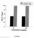 Fig. 08 - Method of augmenting the antitumor activity of anticancer agents