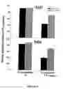 Fig. 10 - Method of augmenting the antitumor activity of anticancer agents