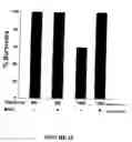 Fig. 13 - Method of augmenting the antitumor activity of anticancer agents