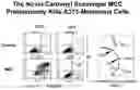 Fig. 01 - Method for inducing cell death with carbonyl scavengers