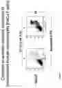 Fig. 03 - Method for inducing cell death with carbonyl scavengers
