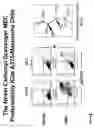 Fig. 06 - Method for inducing cell death with carbonyl scavengers