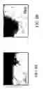 Fig. 08 - Growth factor-binding compounds and methods of use