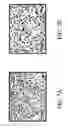 Fig. 13 - Growth factor-binding compounds and methods of use
