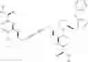 Fig. 08 - Dimeric small molecule potentiators of apoptosis
