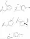 Fig. 14 - Dimeric small molecule potentiators of apoptosis