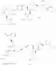 Fig. 22 - Dimeric small molecule potentiators of apoptosis