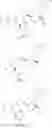 Fig. 28 - Dimeric small molecule potentiators of apoptosis