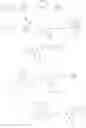 Fig. 43 - Dimeric small molecule potentiators of apoptosis