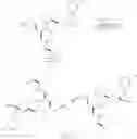 Fig. 46 - Dimeric small molecule potentiators of apoptosis