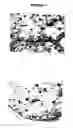 Fig. 02 - Biocompatible polymer compositions for dual or multi staged curing