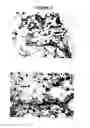 Fig. 03 - Biocompatible polymer compositions for dual or multi staged curing