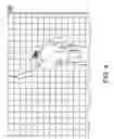Fig. 06 - Stain-resistant grout composition, dispenser therefor, and method of use