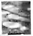 Fig. 03 - Elastic blends comprising crystalline polymer and crystallizable polymers of propylene