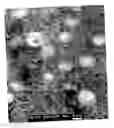 Fig. 04 - Elastic blends comprising crystalline polymer and crystallizable polymers of propylene