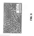 Fig. 04 - Process for olefin epoxidation and co-production of nylon precursor