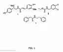 Fig. 02 - Compounds and methods for treatment of cancer and modulation of programmed cell death for melanoma and other cancer cells