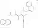 Fig. 09 - Purification process